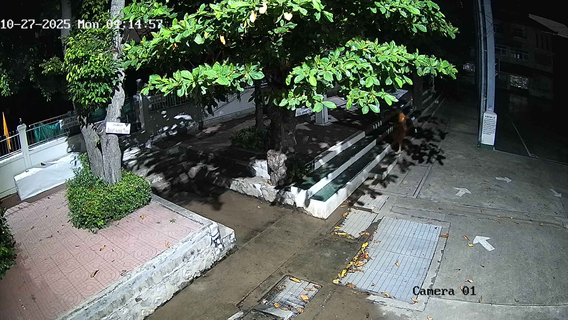 CCTV