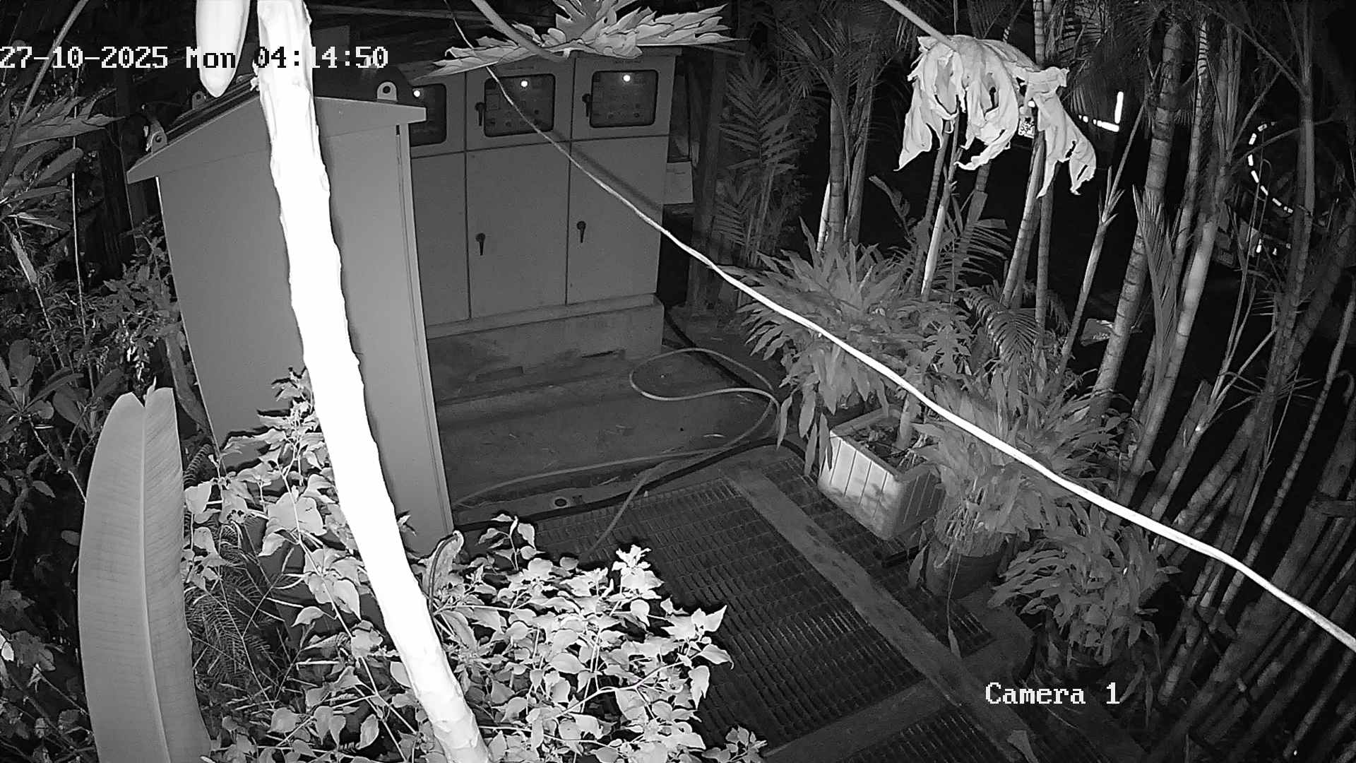 CCTV