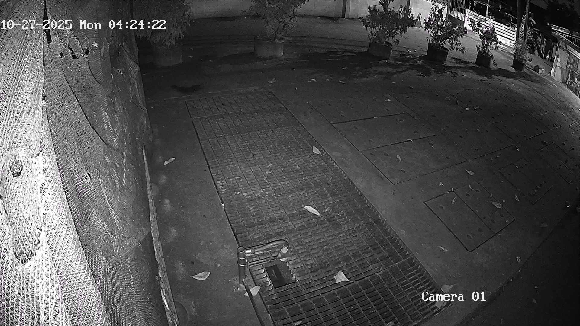 CCTV