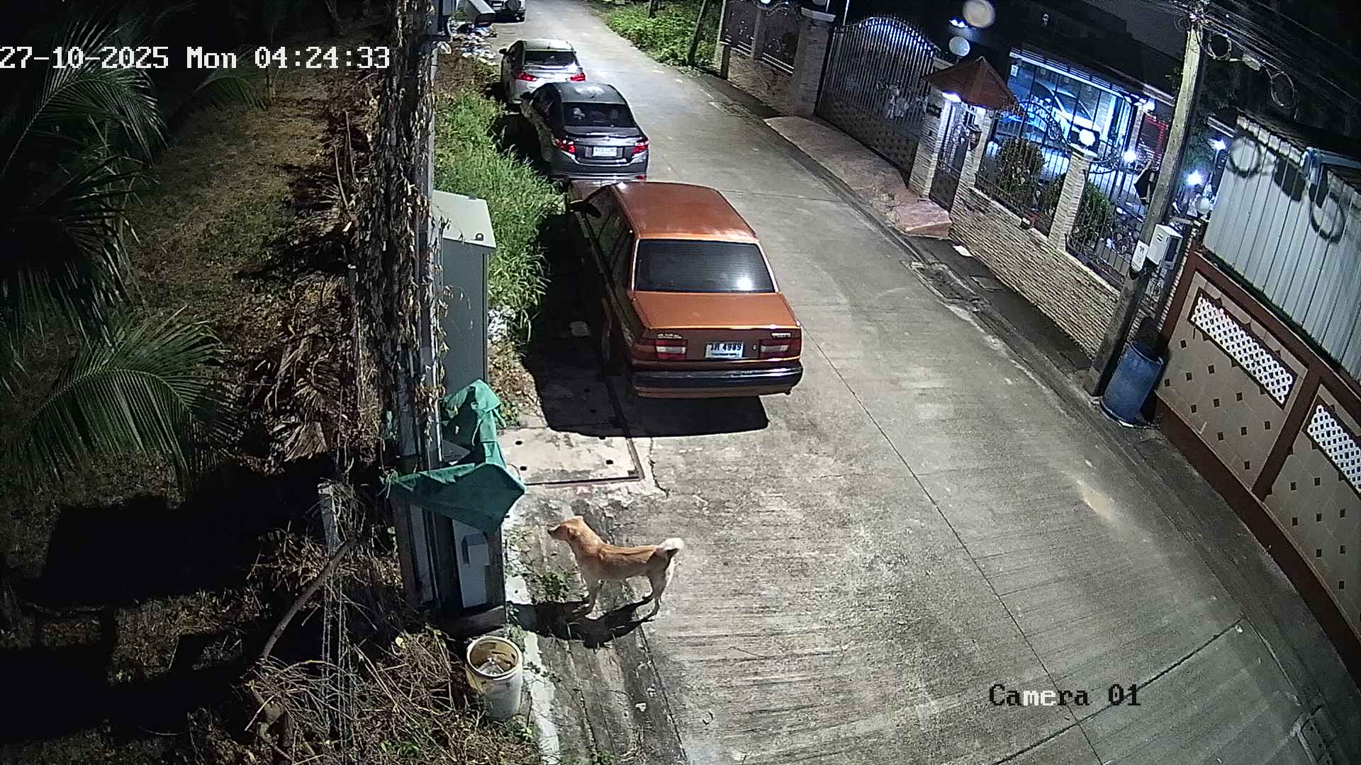 CCTV