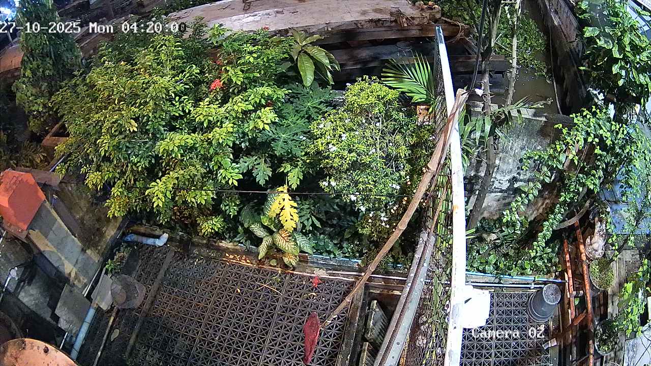 CCTV