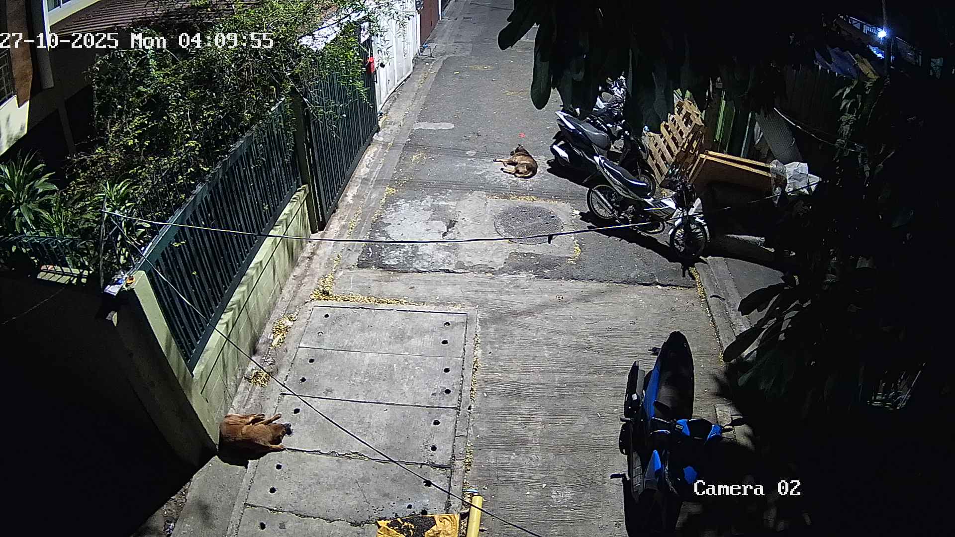 CCTV