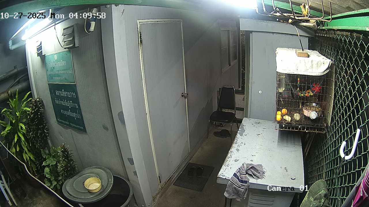 CCTV