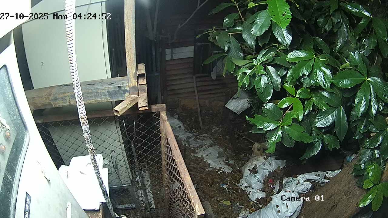 CCTV
