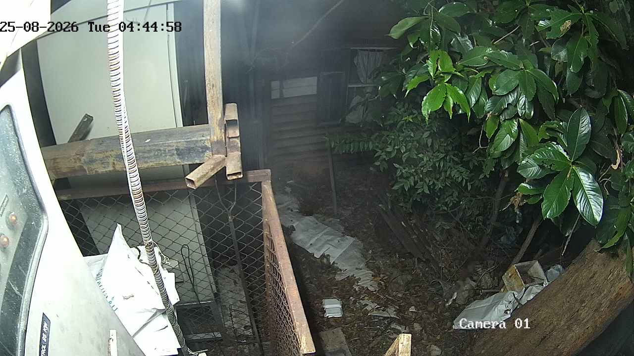 CCTV
