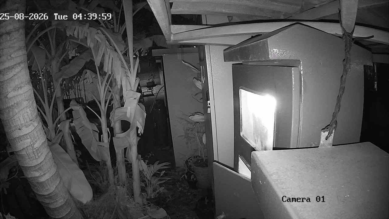 CCTV