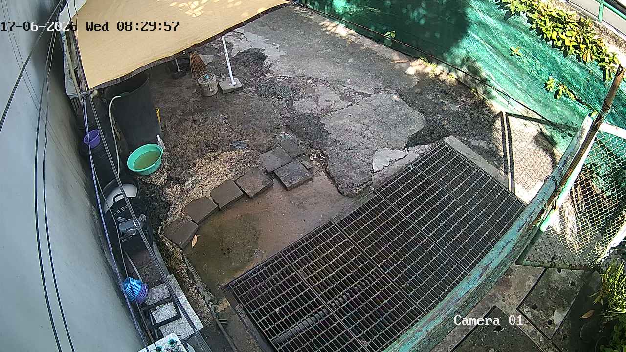 CCTV