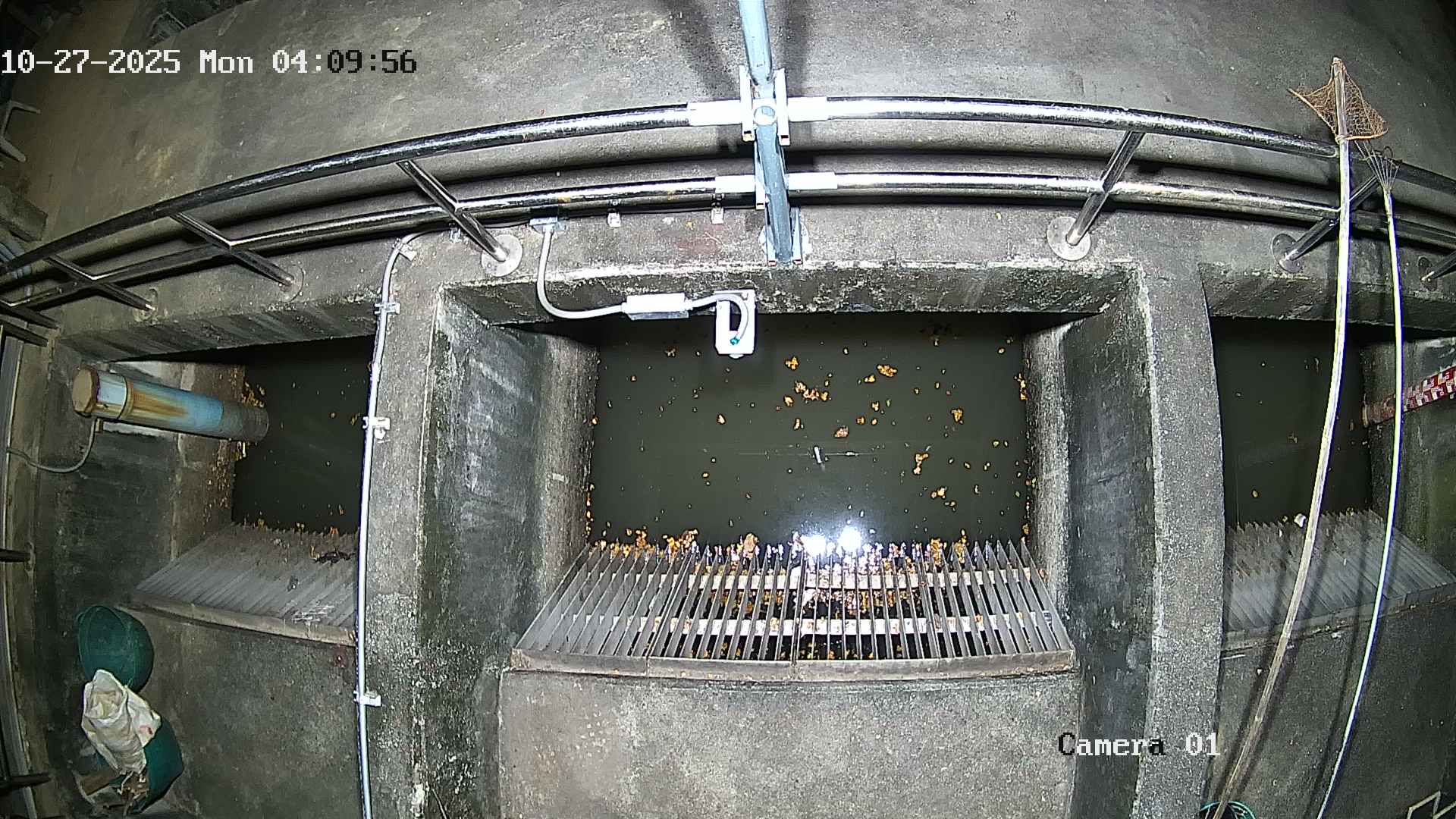 CCTV